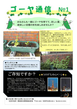 H28年度ゴーヤ通信NO1&hellip;