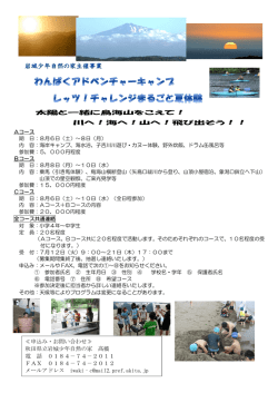 募集チラシ(PDF文書)