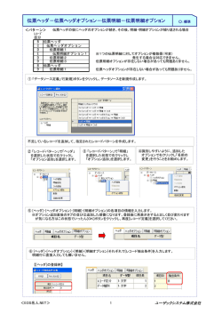 伝票明細オプション - ユーザックシステム