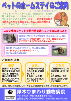 ペットのホームステイ - 厚木ひまわり動物病院