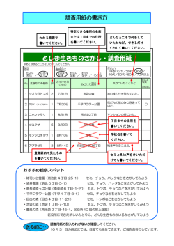 調査用紙の書き方