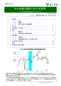 中小企業の動向（2016 年夏号）