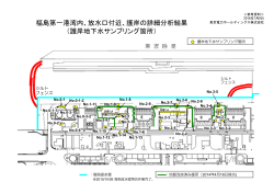 福島第一港湾内、放水口付近、護岸の詳細分析結果 （護岸