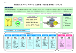 高校生元気アップスポーツ交流事業（地方創生事業