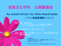 Ke aukahi hōʻola i ka ʻōlelo Hawaiʻiplate