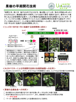 果樹の早期開花技術（PDF：438KB）