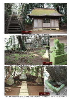 千葉県成田市荒海の小高い場所にある「須賀神社」。 ↑ 左側のフェンス