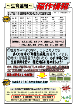 生育速報掲載のお知らせ