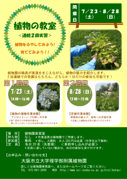 植物の教室 - 大阪市立大学