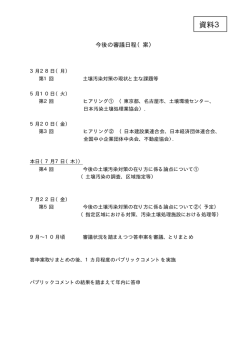 今後の審議日程（案） [PDF 11KB]