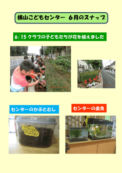 横山こどもセンター 6月のスナップ