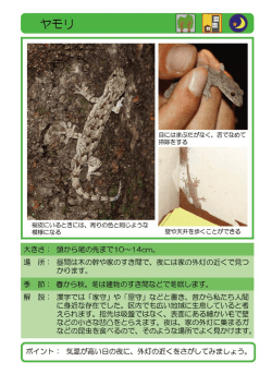 Page 1 目にはま感たがな<、「言でなので 掃除をする ア N