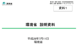 資料1-1 環境省提出資料-分割版1 （PDF形式：431KB）