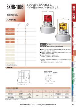 詳細データ