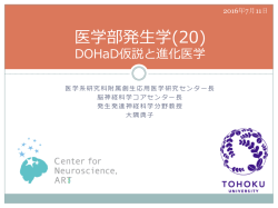 H28医学部発生学(20) まとめ【】