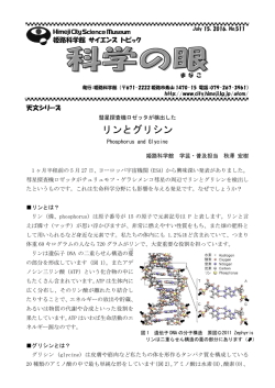 リンとグリシン