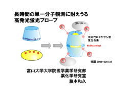 長時間の単一分子観測に耐えうる 高発光蛍光プローブ