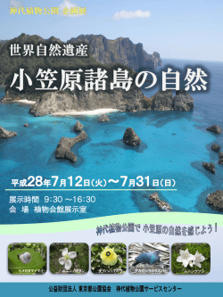 詳細はこちら