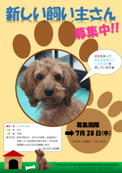 ポスターはこちらをクリック