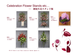 Celebration Flower Stands etc…