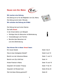 Die Version in Leichter Sprache