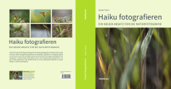 Haiku fotogr af ie ren