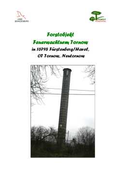Feuerwachturm Tornow - Landesbetrieb Forst Brandenburg