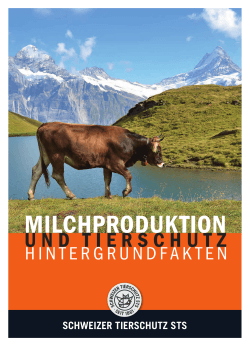 Milchproduktion und Tierschutz