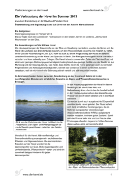 Die Verkrautung der Havel im Sommer 2013