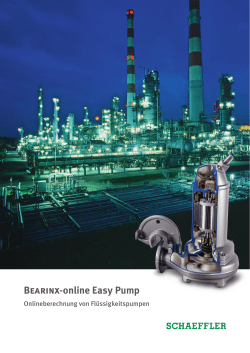 Bearinx-online Easy Pump: Onlineberechnung von