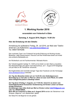 working hunter - Haflinger Pferdezuchtverband Tirol