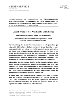 PDF, 379 kB - Stadt Linz