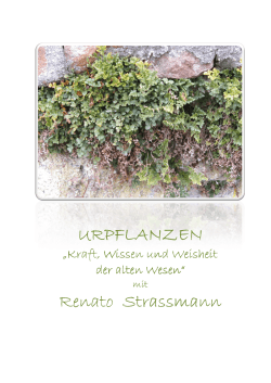 urpflanzen - Heilpflanzenschule Rosenheim