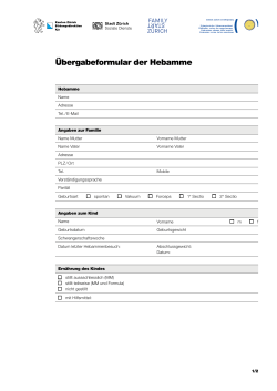 Übergabeformular der Hebamme (PDF, 2 Seiten, 682 kB)