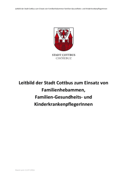 Leitbild der Stadt Cottbus zum Einsatz von Familienhebammen