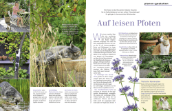 PDF-Datei - Mein schöner Garten