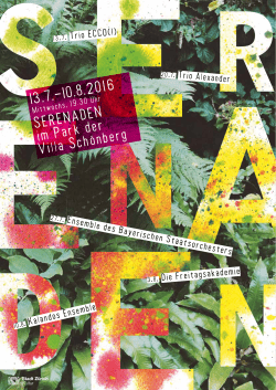 Programmflyer 2016