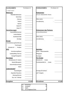 Ein-/Ausgabenrechnung