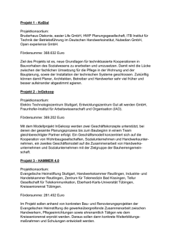 Informationen zu den einzelnen Projekten  - Baden
