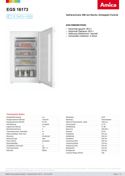 EGS 16173 - Amica International GmbH