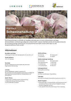 Schweinehaltung - Landwirtschaftliches Zentrum Liebegg