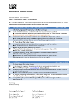 Schulleitung oder IT-Verantwortliche Lernlupe IT