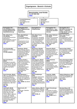 Organigramm des Bereichs Schulen
