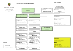 Organisationsplan des ALFF Anhalt