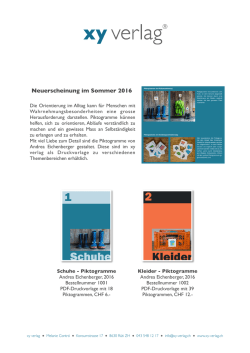 Flyer Piktogramme