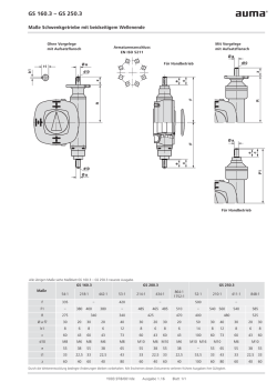 GS 160.3 – GS 250.3