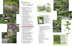 im August - Mein schöner Garten