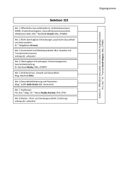 Organigramm Sektion III (nicht barrierefrei) PDF