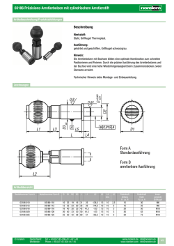 03186 Präzisions-Arretierbolzen mit zylindrischem