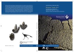 Dinosaur tracks 2011